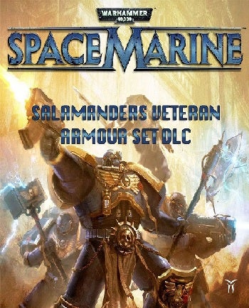 Sega Warhammer 40000 Space Marine Salamanders Veteran Armour Set DLC PC Game